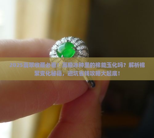 高糯冰翡翠里的棉可以玉化吗