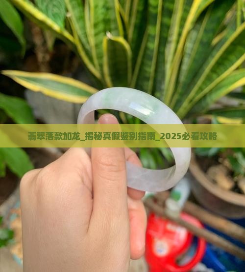 翡翠落款加龙