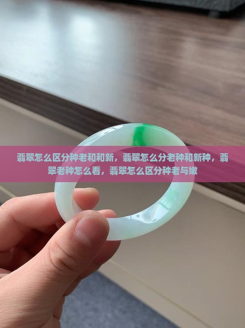 翡翠怎么区分种老和和新