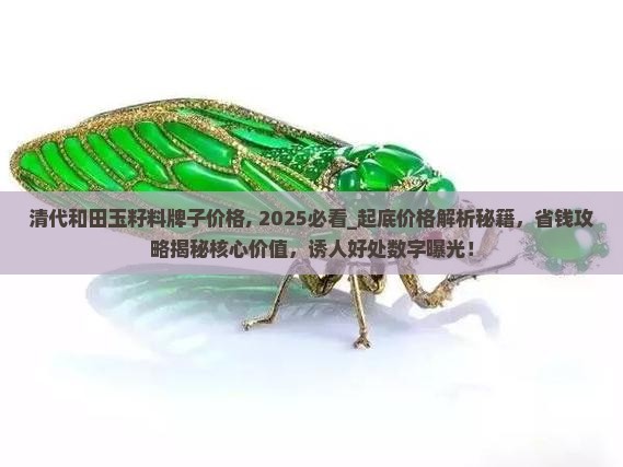 清代和田玉籽料牌子价格