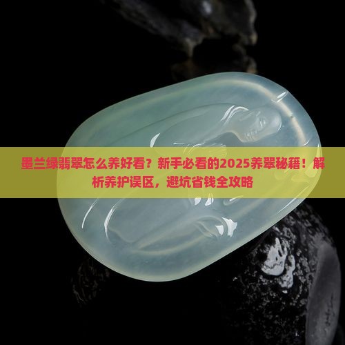 墨兰绿翡翠怎么养好看