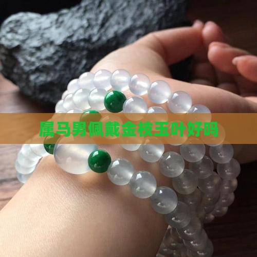 属马男佩戴金枝玉叶好吗