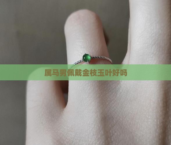 属马男佩戴金枝玉叶好吗