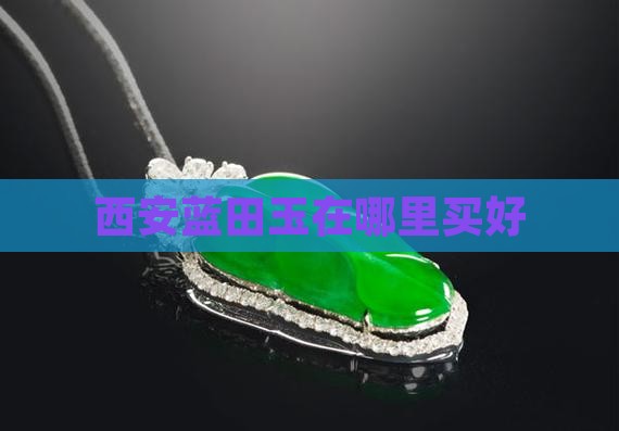 西安蓝田玉在哪里买好