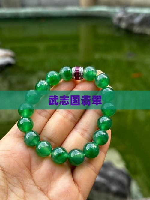 武志国翡翠