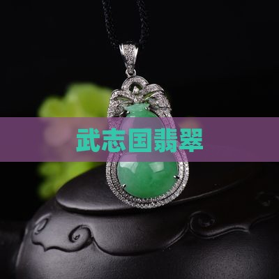 武志国翡翠