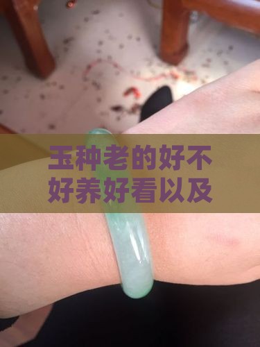 玉种老的好不好养好看以及佩戴效果如何
