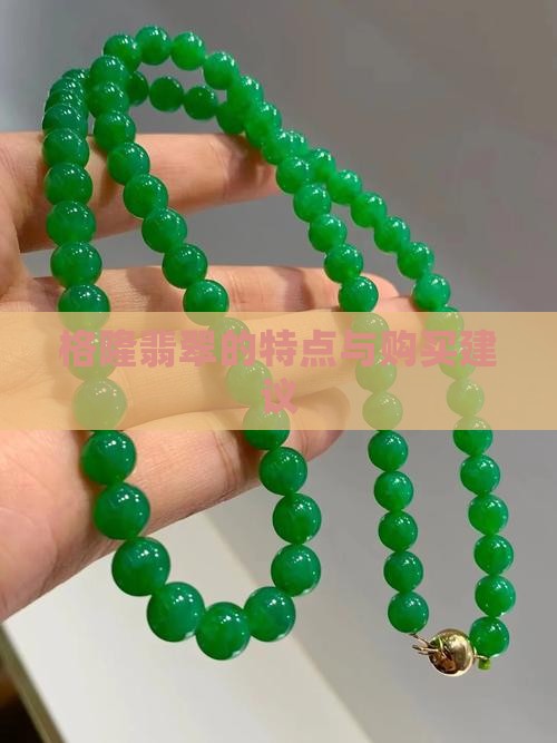 格隆翡翠的特点与购买建议