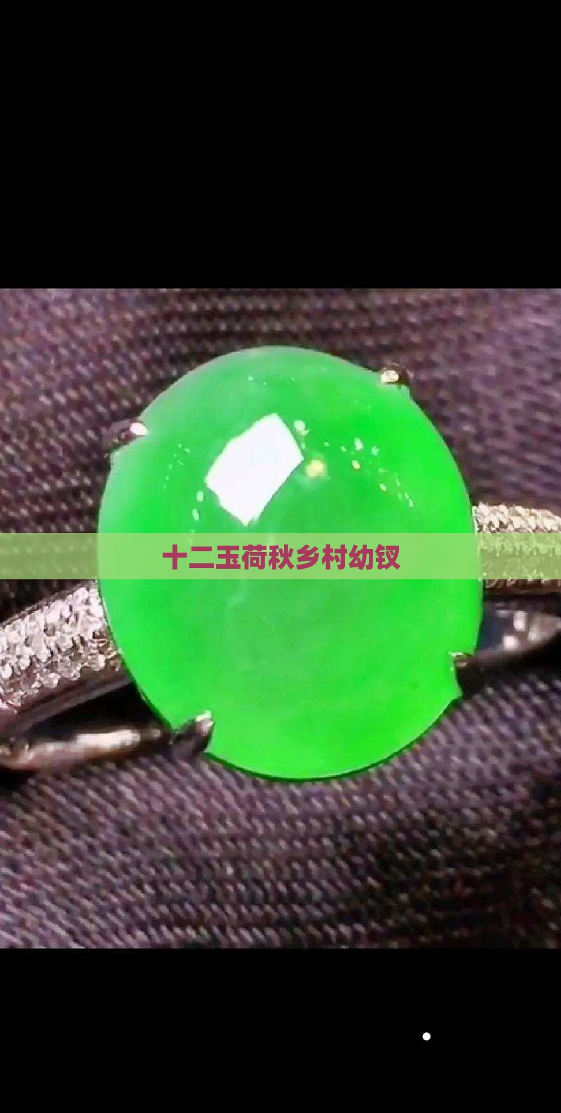 十二玉荷秋乡村幼钗