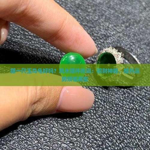 摆一只玉乌龟好吗？风水摆件热词：招财神器，提升运势烦恼解密