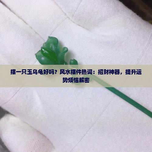 摆一只玉乌龟好吗？风水摆件热词：招财神器，提升运势烦恼解密