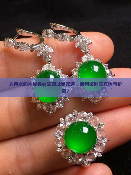 为何水和木属性翡翠如此受欢迎，如何鉴别其真伪与价值？