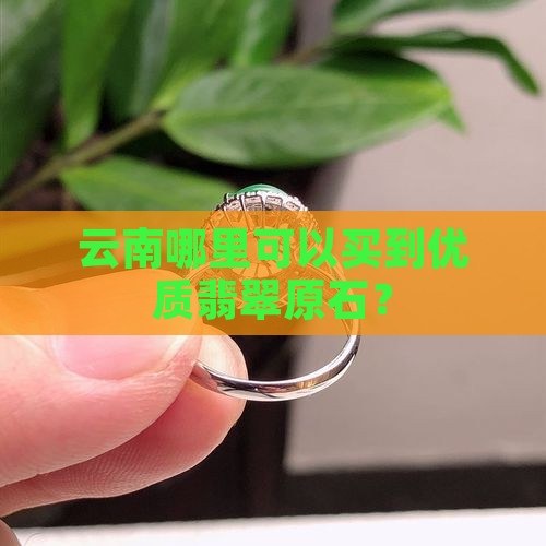 云南哪里可以买到优质翡翠原石？