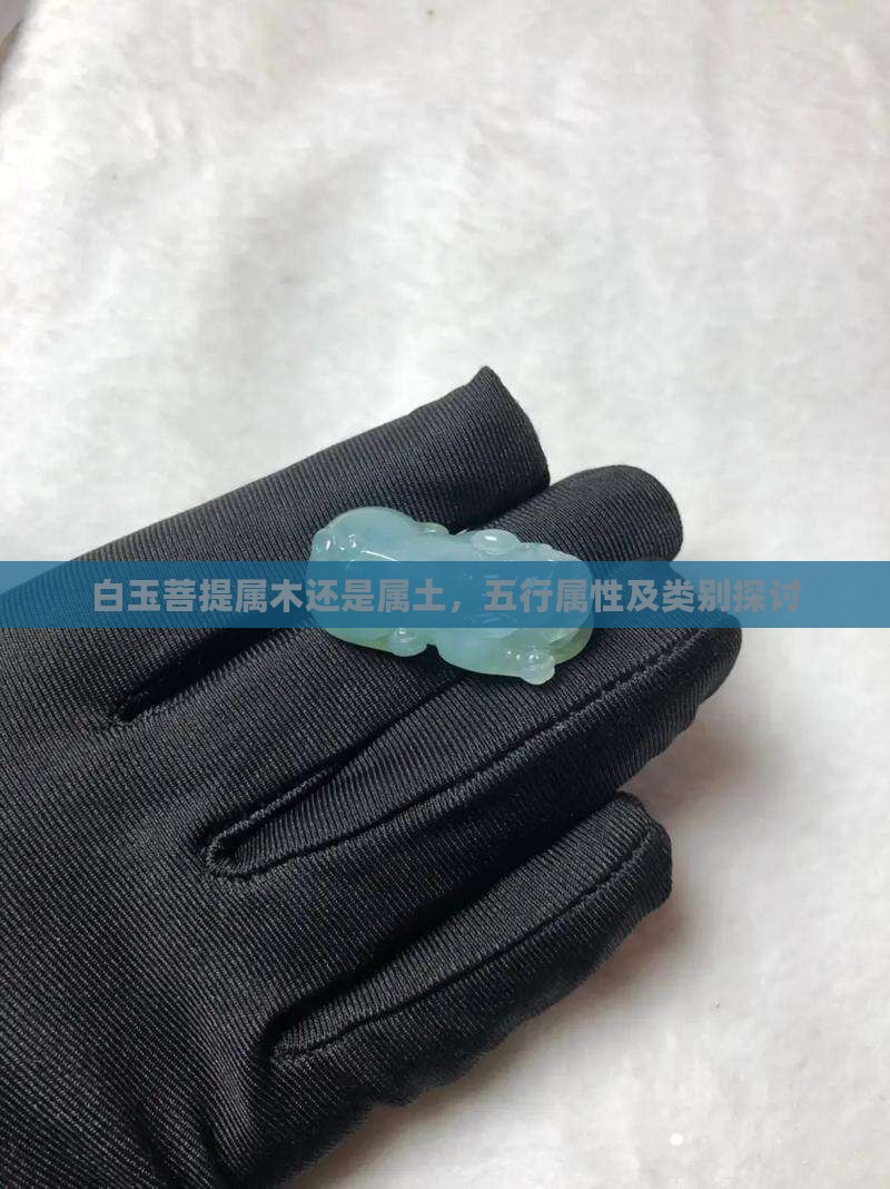 白玉菩提属木还是属土，五行属性及类别探讨