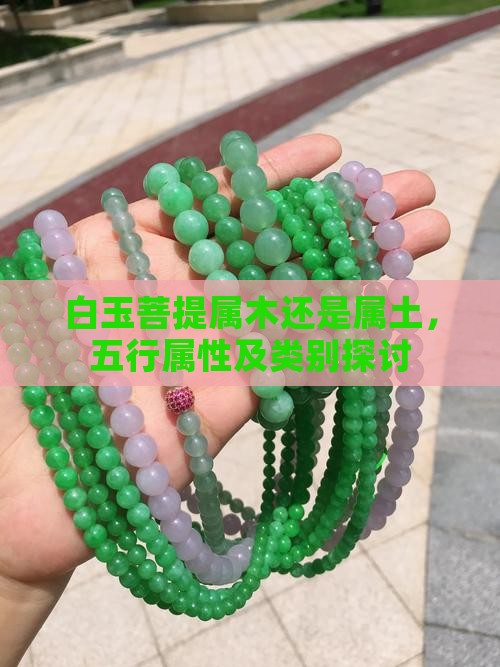 白玉菩提属木还是属土，五行属性及类别探讨
