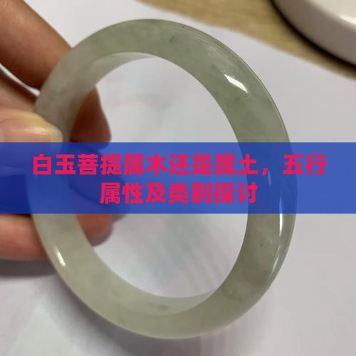 白玉菩提属木还是属土，五行属性及类别探讨