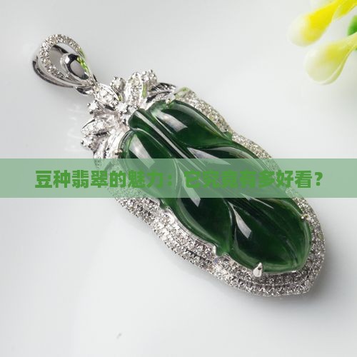 豆种翡翠的魅力：它究竟有多好看？