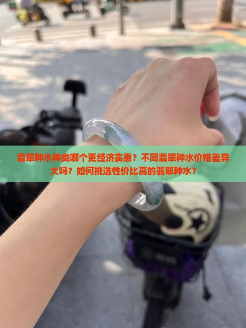 翡翠种水种类哪个更经济实惠？不同翡翠种水价格差异大吗？如何挑选性价比高的翡翠种水？