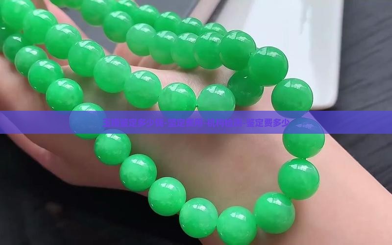 玉镯鉴定多少钱-坚定费用-机构检测-鉴定费多少