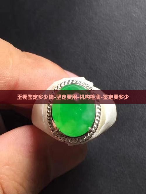 玉镯鉴定多少钱-坚定费用-机构检测-鉴定费多少