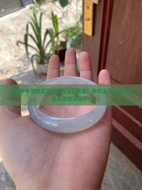 新疆罗布泊地区是否富含玉石资源?罗布泊玉石的特点及开采情况如何? 新疆罗布泊地区是否富含玉石资源?罗布泊玉石的特点及开采情况如何?