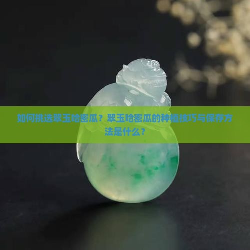 如何挑选翠玉哈密瓜？翠玉哈密瓜的种植技巧与保存方法是什么？