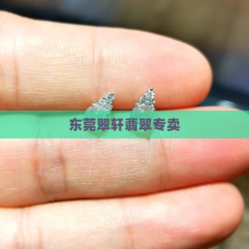 东莞翠轩翡翠专卖