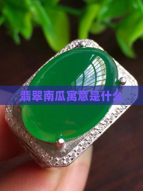 翡翠南瓜寓意是什么
