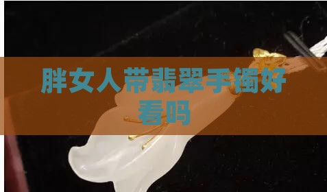 胖女人带翡翠手镯好看吗