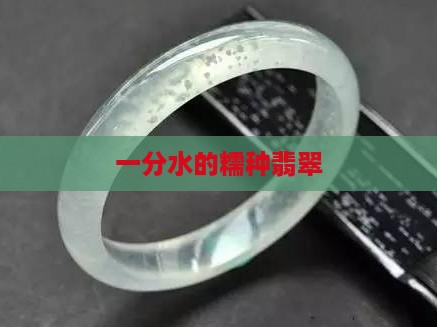 一分水的糯种翡翠