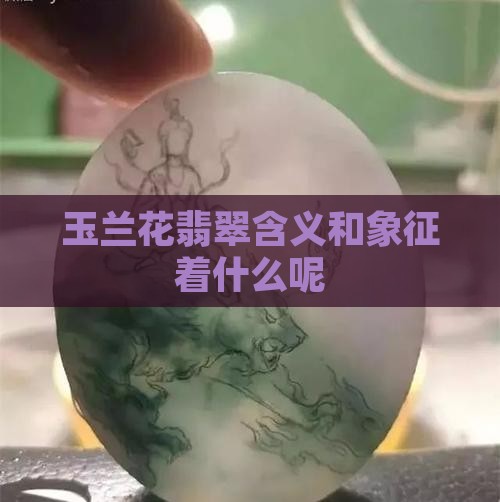 玉兰花翡翠含义和象征着什么呢 玉兰花翡翠含义和象征着什么呢