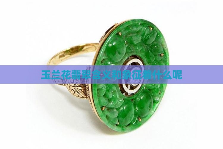 玉兰花翡翠含义和象征着什么呢 玉兰花翡翠含义和象征着什么呢