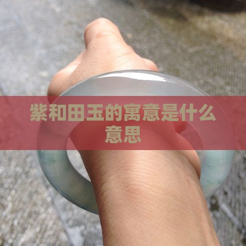 紫和田玉的寓意是什么意思