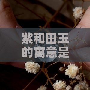 紫和田玉的寓意是什么意思