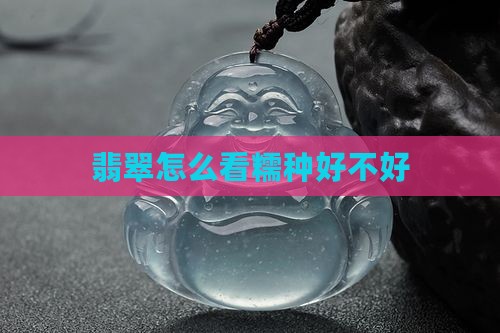 翡翠怎么看糯种好不好 翡翠怎么看糯种好不好
