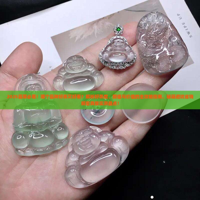 翡翠哪个品种好养又好看