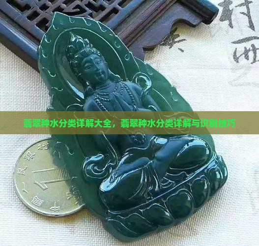 翡翠种水分类详解