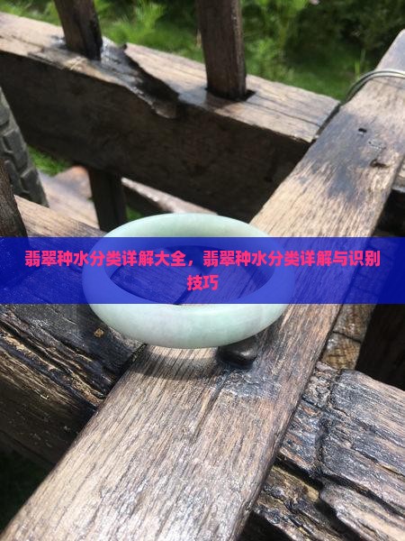 翡翠种水分类详解