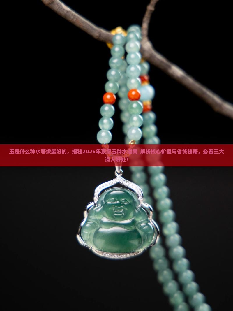 玉是什么种水等级最好的