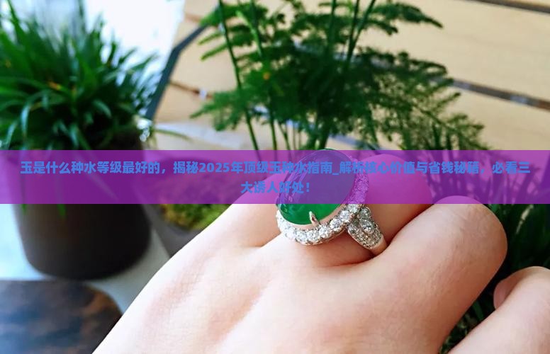 玉是什么种水等级最好的