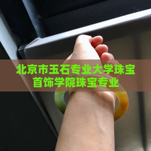 有玉石翡翠专业的大学