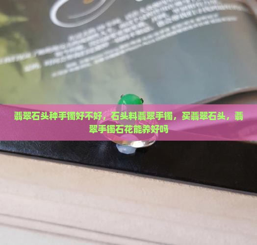 翡翠石头种手镯好不好 翡翠石头种手镯好不好