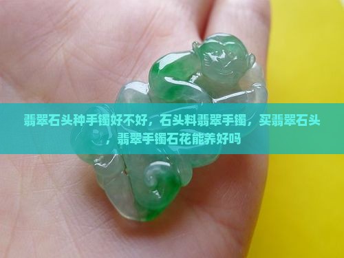 翡翠石头种手镯好不好 翡翠石头种手镯好不好