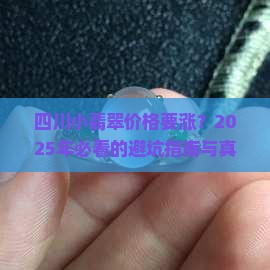 四川小翡翠价格走势