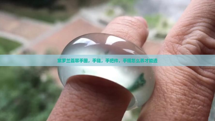 紫罗兰翡翠手圈