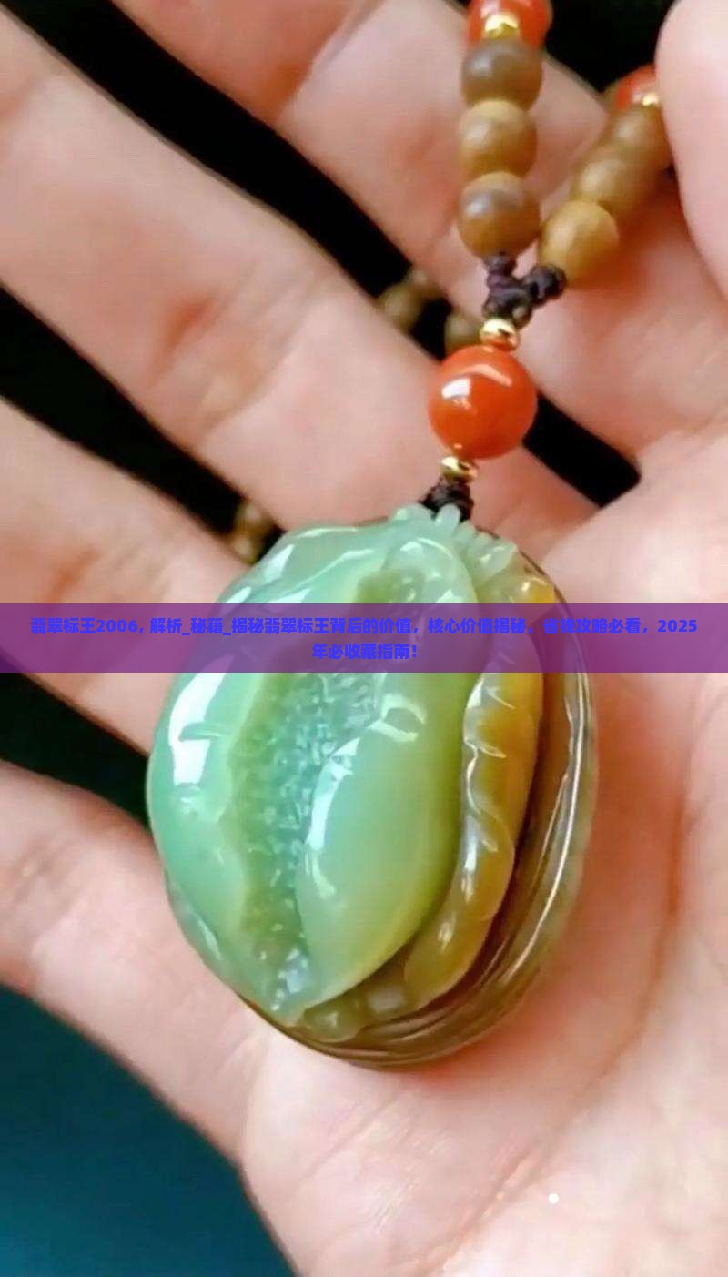 翡翠标王2006