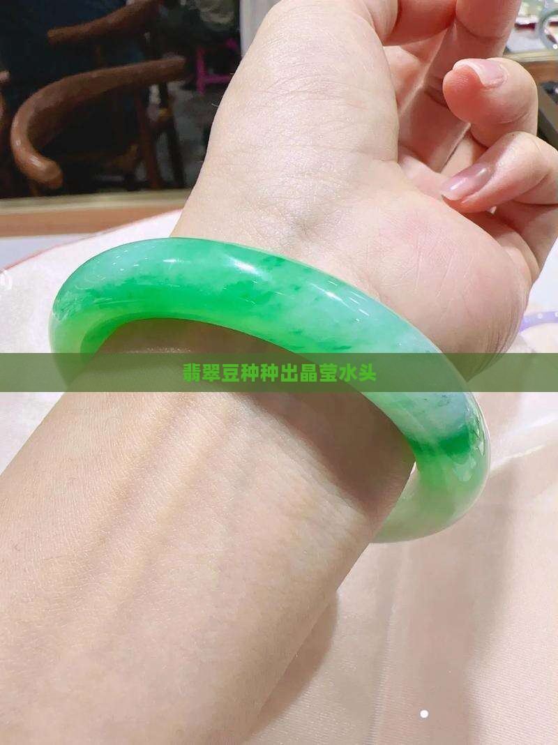 翡翠豆种种出晶莹水头