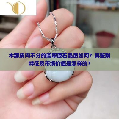 木那皮肉不分的翡翠原石品质如何？其鉴别特征及市场价值是怎样的？