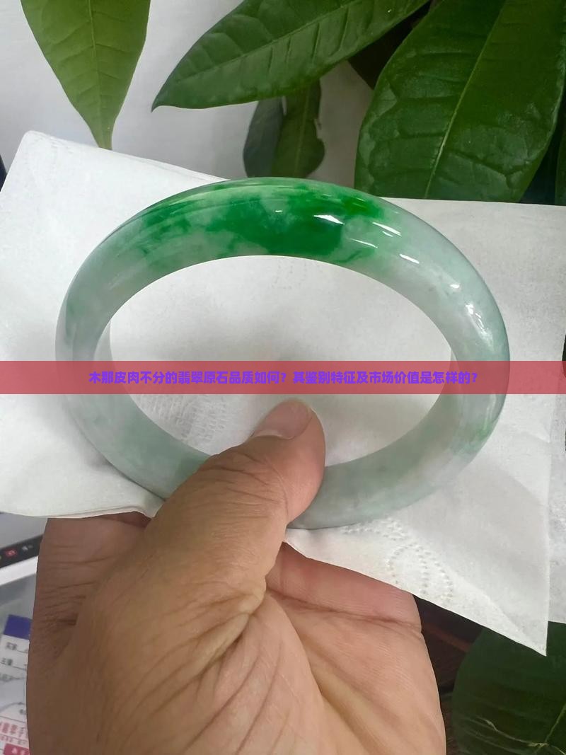木那皮肉不分的翡翠原石品质如何？其鉴别特征及市场价值是怎样的？