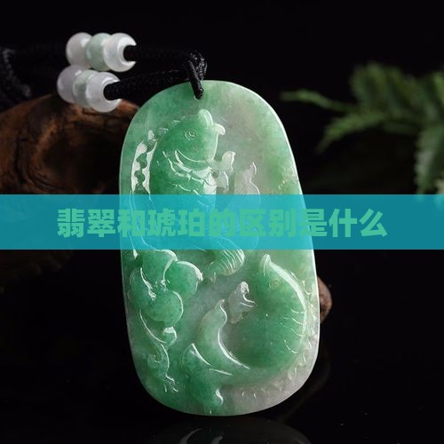 翡翠和琥珀的区别是什么